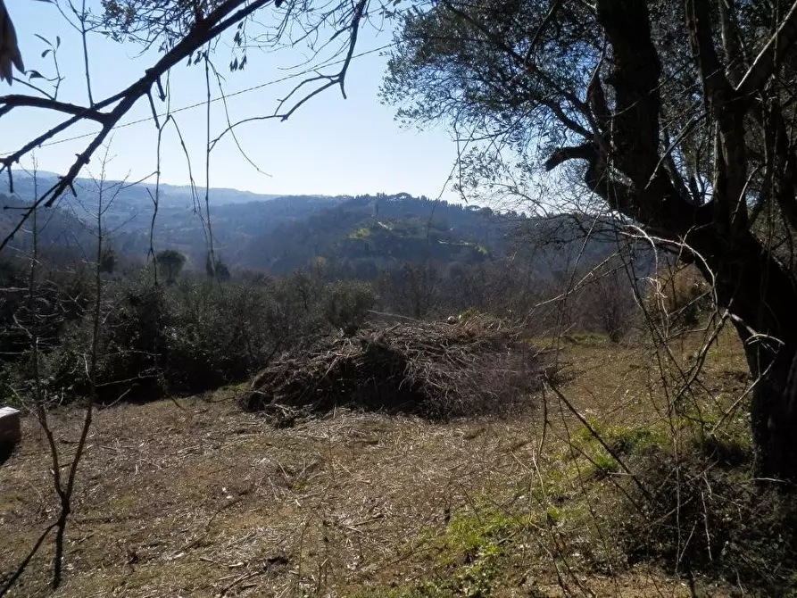 Terreno residenziale in vendita a Casciana Terme Lari