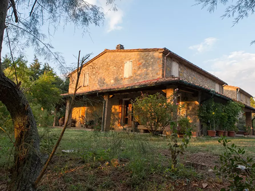 Casa colonica in vendita a Castelnuovo Val Di Cecina