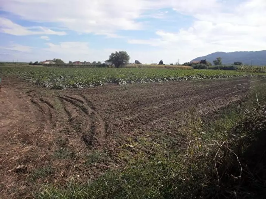 Terreno agricolo in vendita a Sarzana