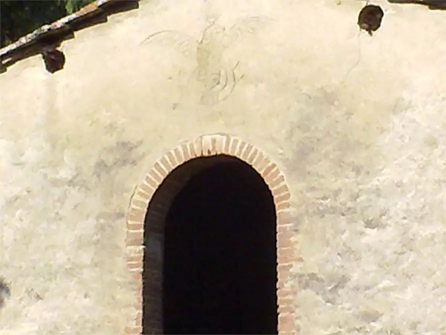 Immagine 4 di Casa colonica in vendita  a Buti