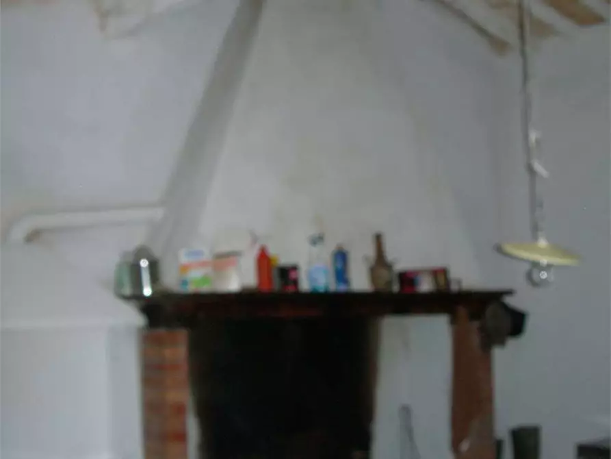 Immagine 5 di Casa colonica in vendita  a Buti