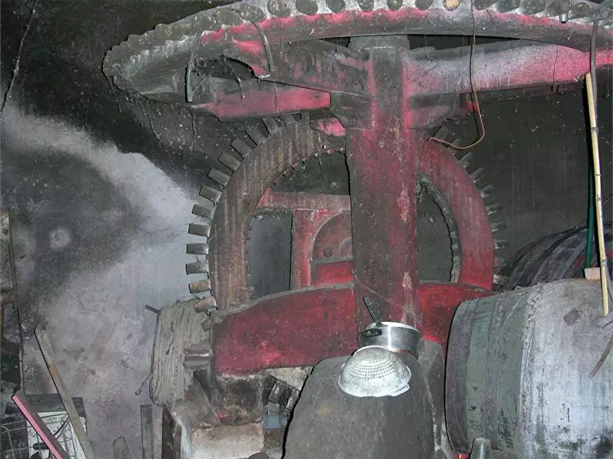 Immagine 2 di Casa colonica in vendita  a Buti