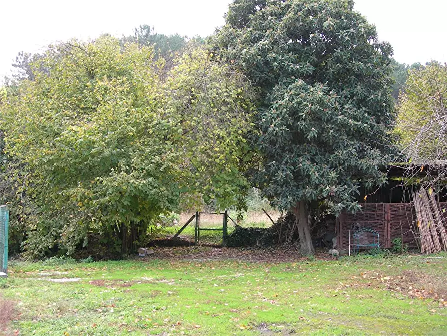 Immagine 7 di Casa colonica in vendita  a Buti