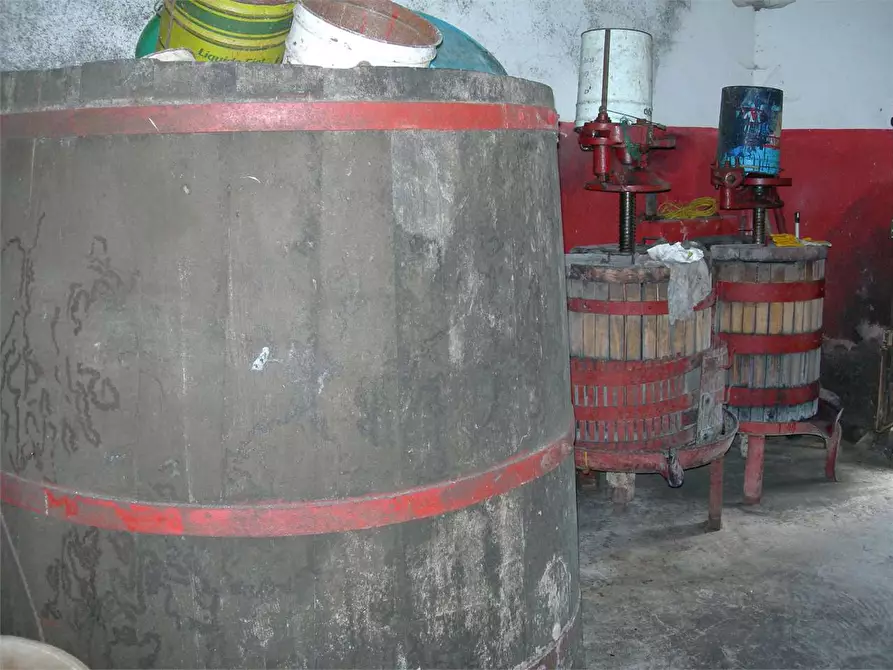 Immagine 8 di Casa colonica in vendita  a Buti