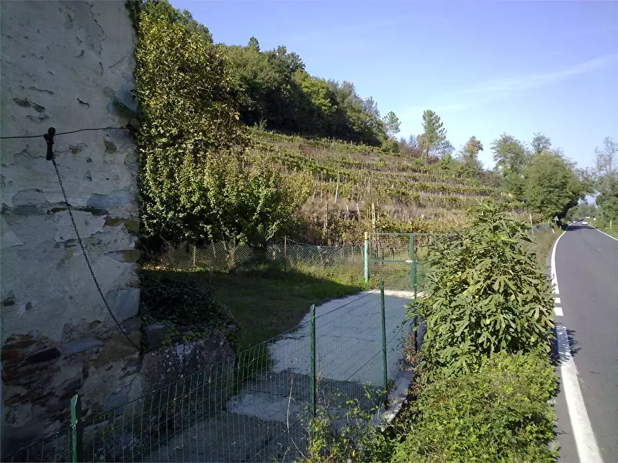 Immagine 9 di Casa colonica in vendita  a Buti