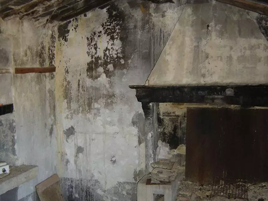 Immagine 21 di Casa colonica in vendita  a Buti