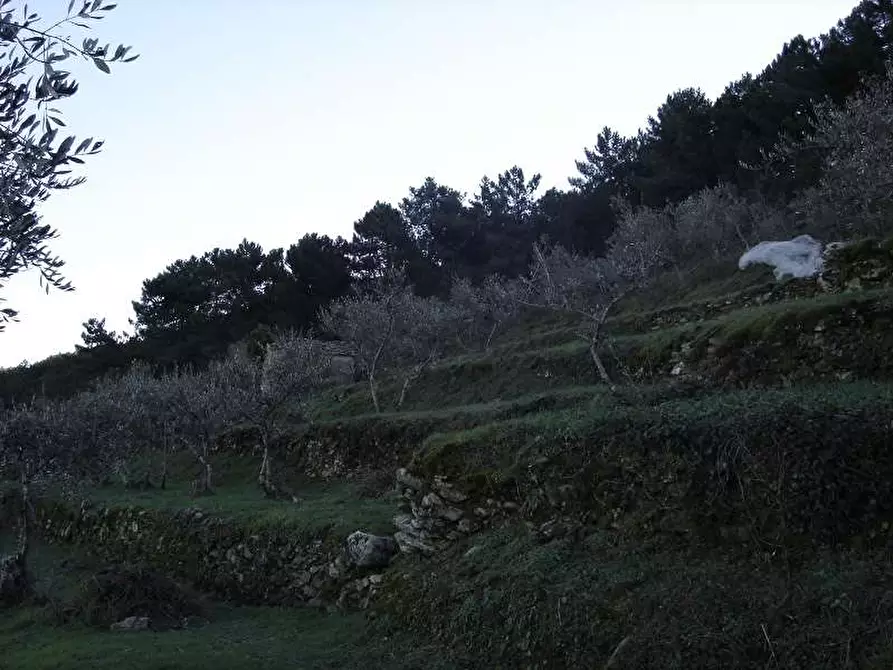 Immagine 22 di Casa colonica in vendita  a Buti