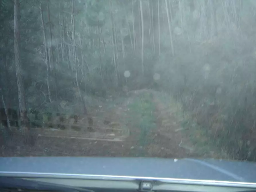 Immagine 23 di Casa colonica in vendita  a Buti