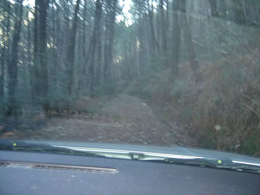 Immagine 24 di Casa colonica in vendita  a Buti