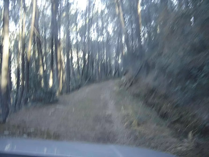 Immagine 25 di Casa colonica in vendita  a Buti