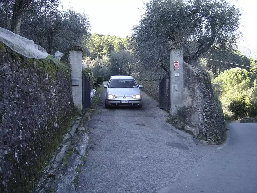 Immagine 26 di Casa colonica in vendita  a Buti