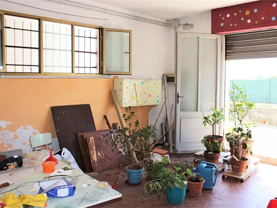 Immagine 15 di Palazzo in vendita  a Calcinaia