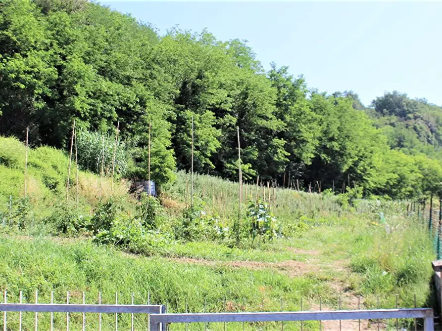 Immagine 19 di Palazzo in vendita  a Calcinaia