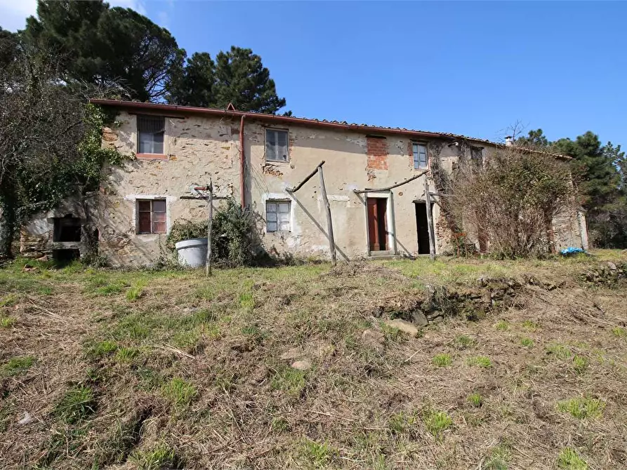 Immagine 2 di Casa colonica in vendita  a Buti