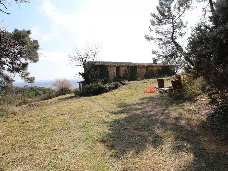 Immagine 4 di Casa colonica in vendita  a Buti