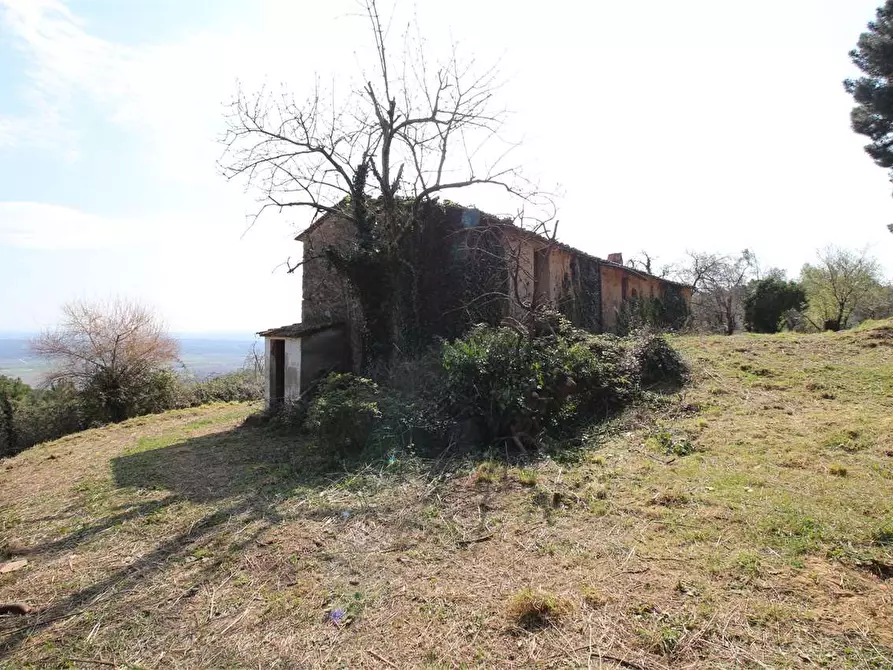 Immagine 5 di Casa colonica in vendita  a Buti