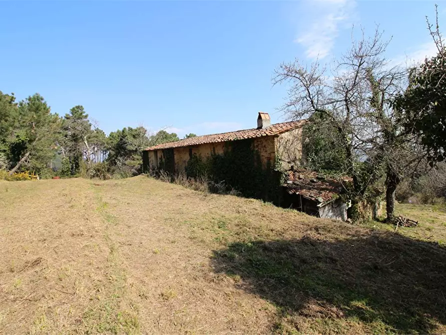 Immagine 6 di Casa colonica in vendita  a Buti