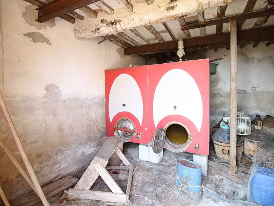 Immagine 10 di Casa colonica in vendita  a Buti