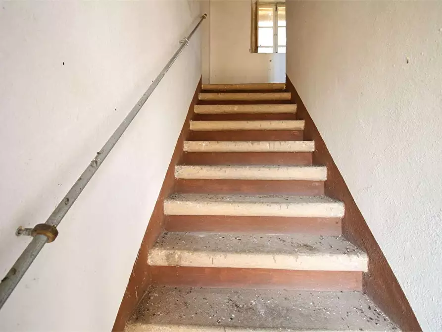 Immagine 11 di Casa colonica in vendita  a Buti