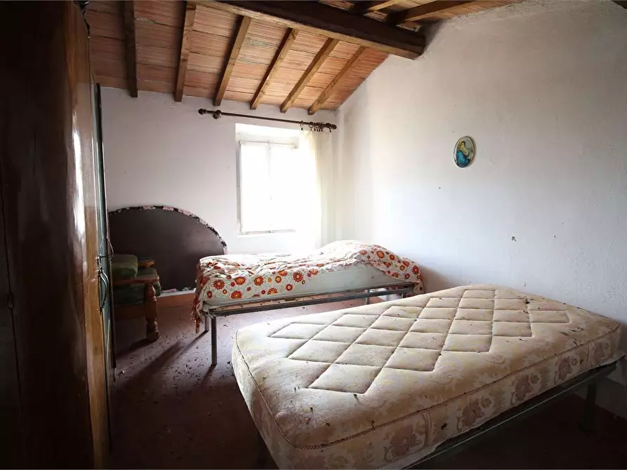 Immagine 13 di Casa colonica in vendita  a Buti