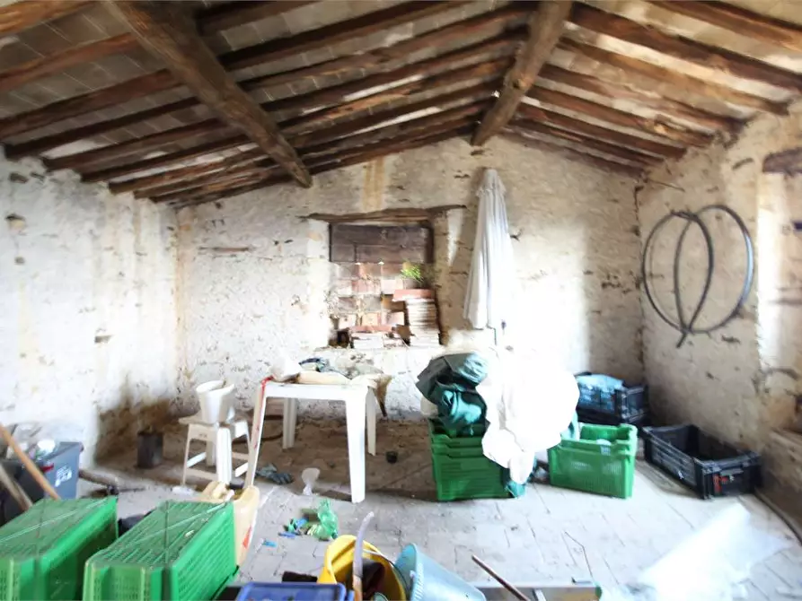 Immagine 15 di Casa colonica in vendita  a Buti