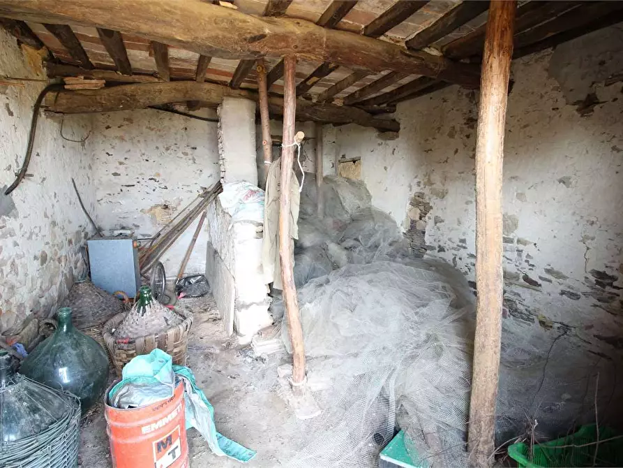 Immagine 17 di Casa colonica in vendita  a Buti