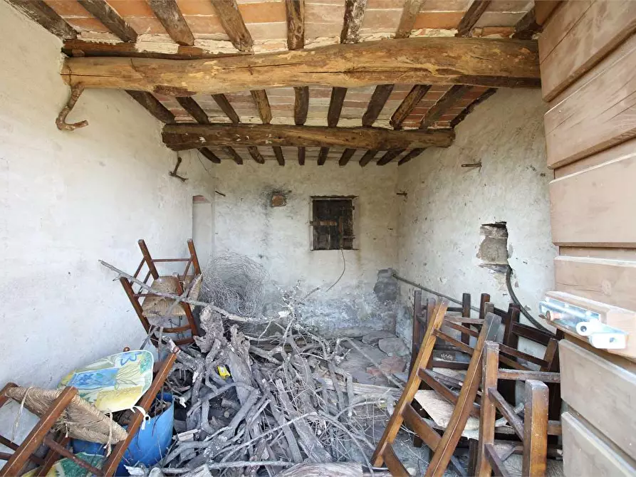 Immagine 18 di Casa colonica in vendita  a Buti