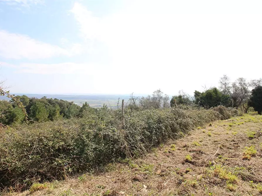 Immagine 20 di Casa colonica in vendita  a Buti