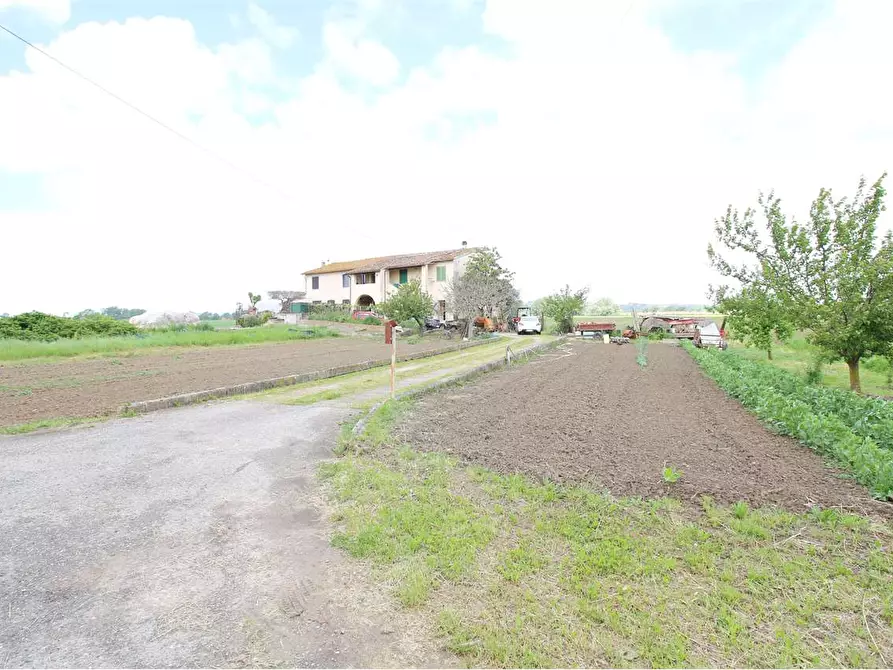 Immagine 1 di Porzione di casa in vendita  a Montopoli In Val D'arno