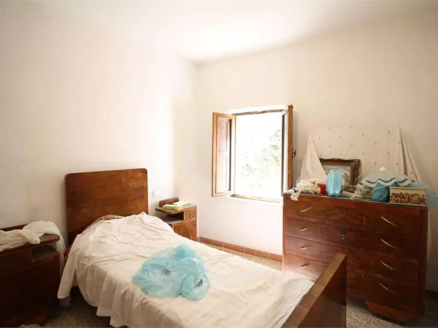 Immagine 4 di Appartamento in vendita  a Buti