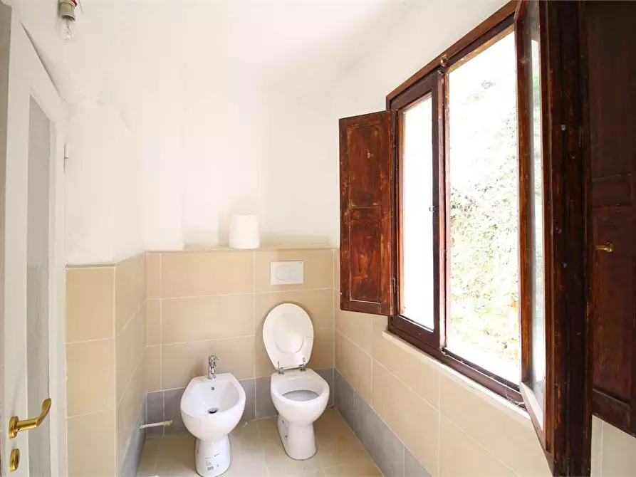 Immagine 16 di Appartamento in vendita  a Buti