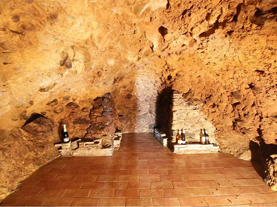 Immagine 29 di Casa colonica in vendita  a Buti