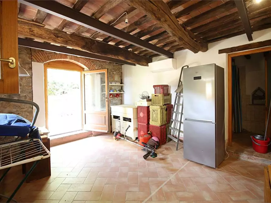 Immagine 23 di Casa colonica in vendita  a Buti