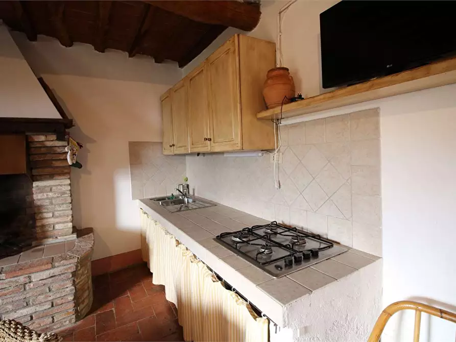 Immagine 28 di Casa colonica in vendita  a Buti