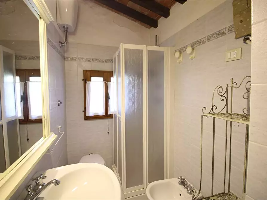 Immagine 35 di Casa colonica in vendita  a Buti