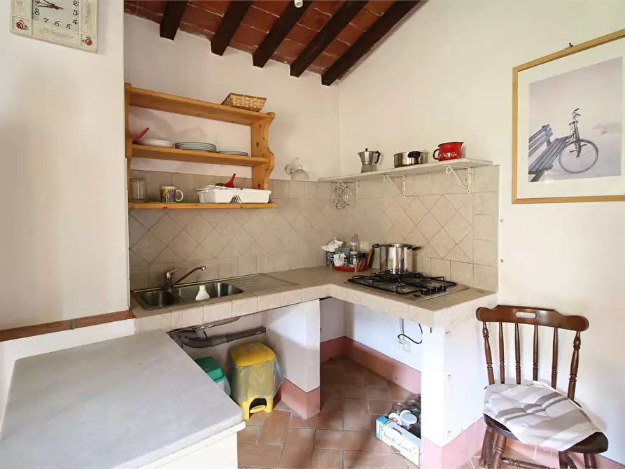 Immagine 44 di Casa colonica in vendita  a Buti