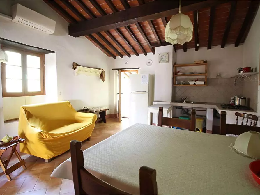 Immagine 45 di Casa colonica in vendita  a Buti