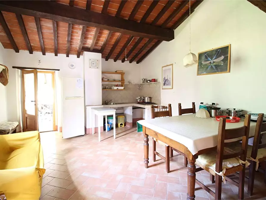 Immagine 46 di Casa colonica in vendita  a Buti