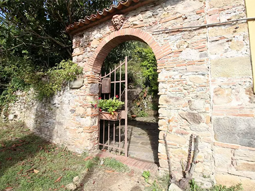 Immagine 47 di Casa colonica in vendita  a Buti