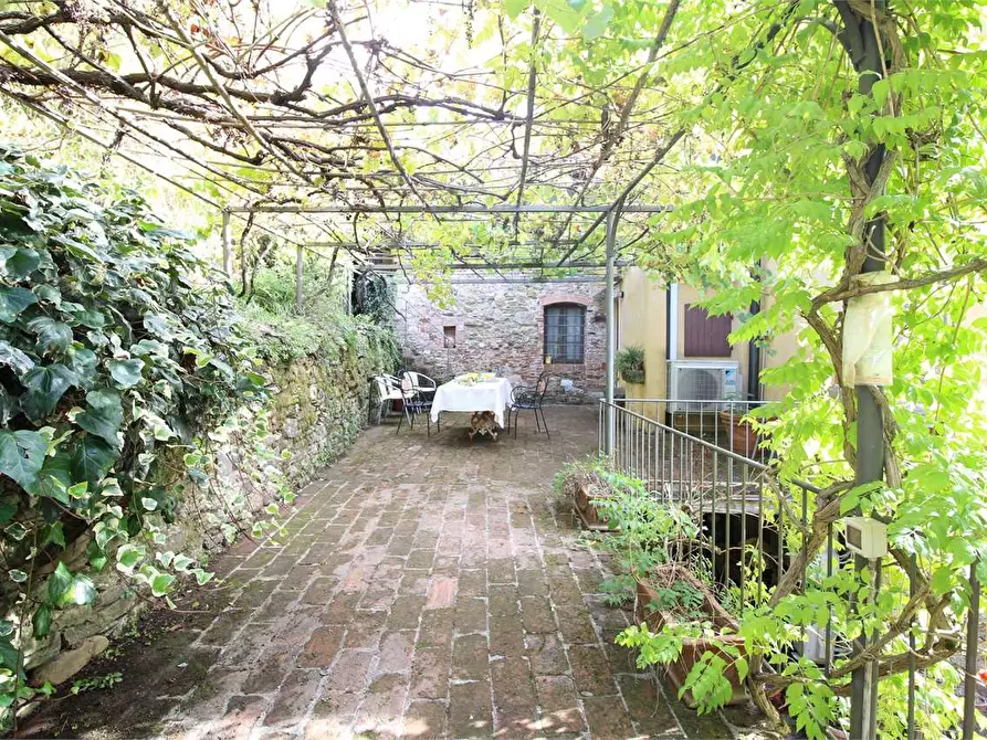 Immagine 48 di Casa colonica in vendita  a Buti