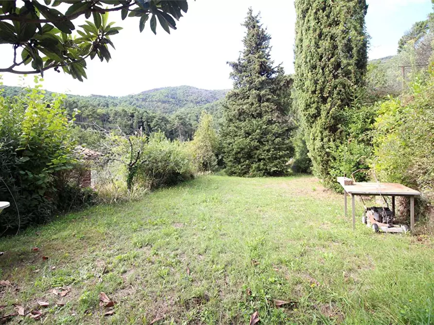 Immagine 52 di Casa colonica in vendita  a Buti