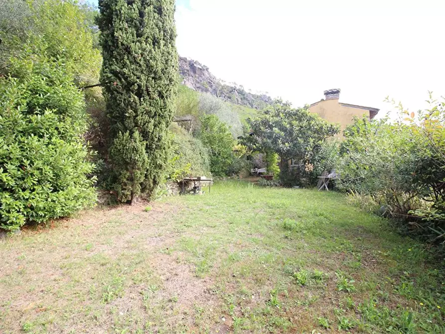 Immagine 53 di Casa colonica in vendita  a Buti