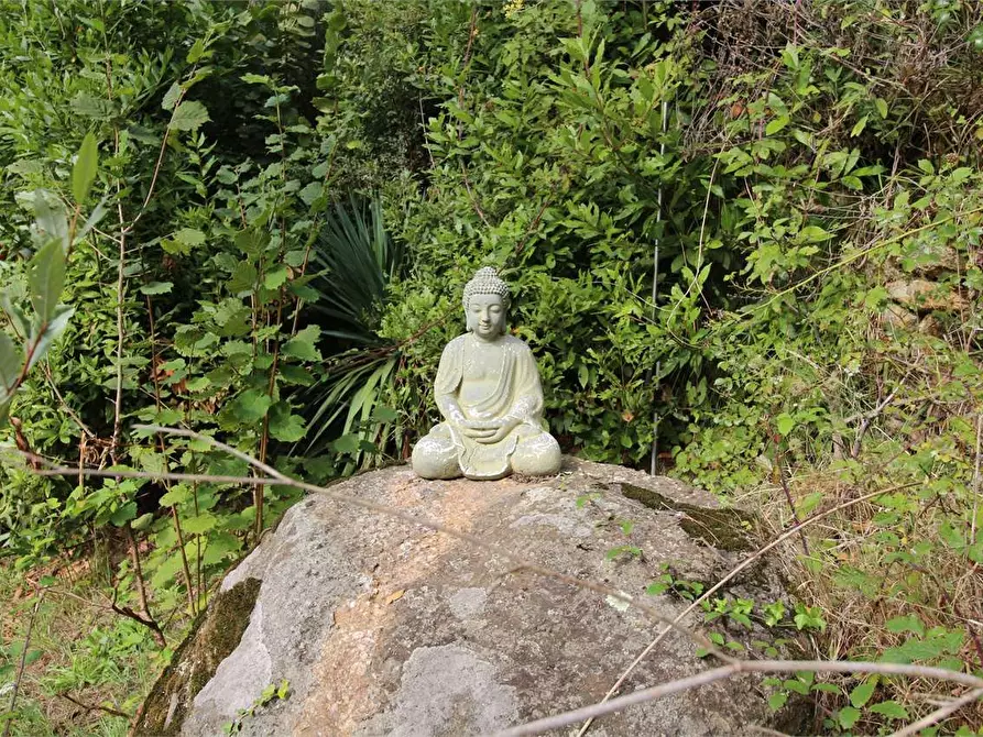 Immagine 54 di Casa colonica in vendita  a Buti