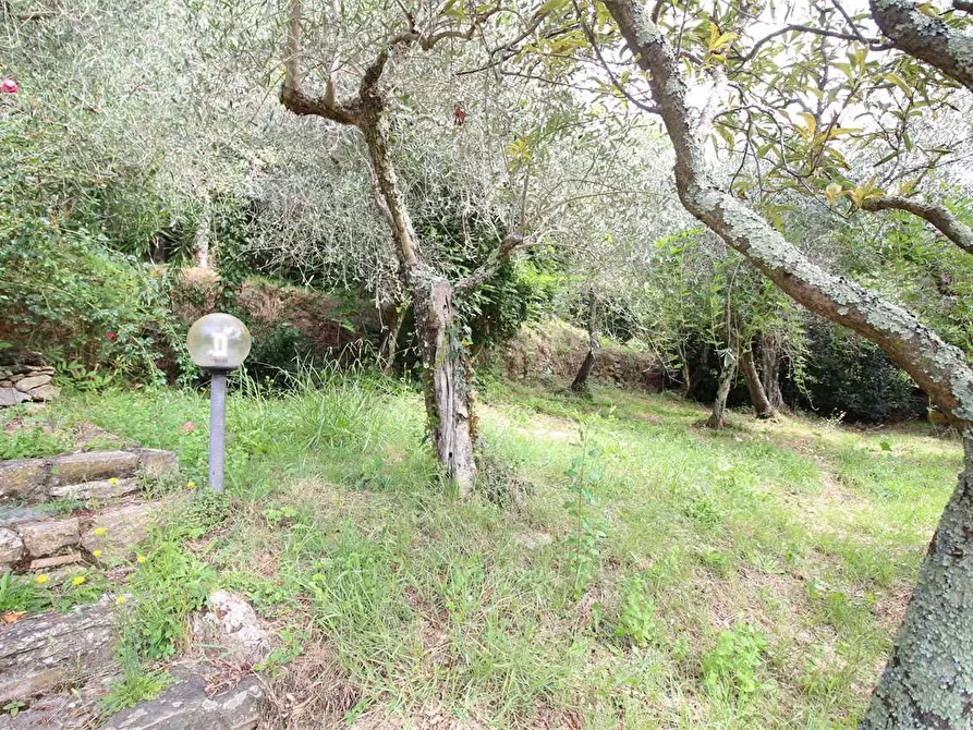 Immagine 55 di Casa colonica in vendita  a Buti