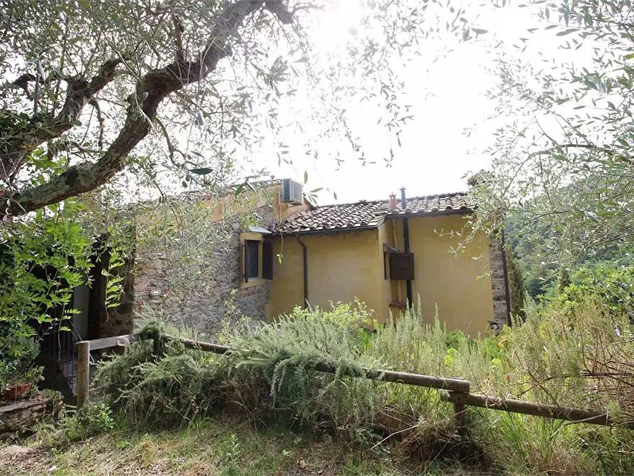 Immagine 56 di Casa colonica in vendita  a Buti