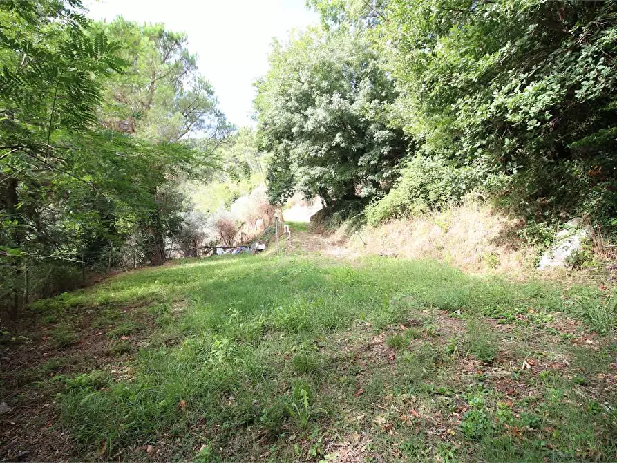 Immagine 58 di Casa colonica in vendita  a Buti