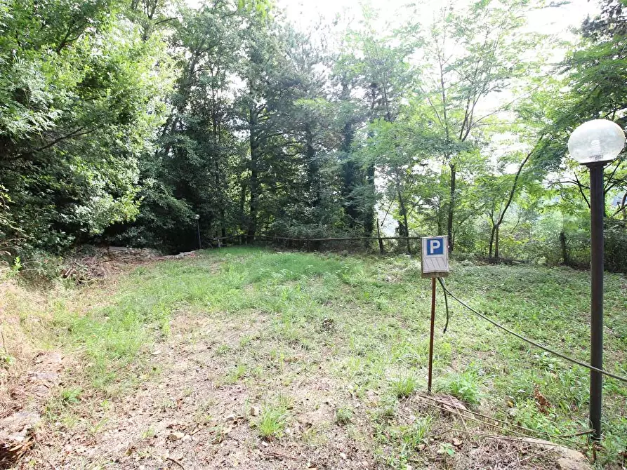 Immagine 59 di Casa colonica in vendita  a Buti