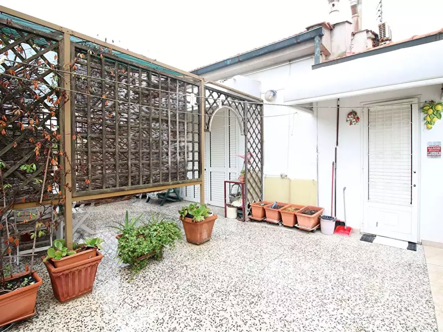 Immagine 24 di Villetta a schiera in vendita  a Pontedera