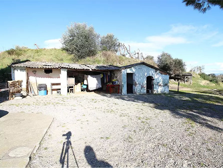 Immagine 29 di Casa colonica in vendita  a Montopoli In Val D'arno