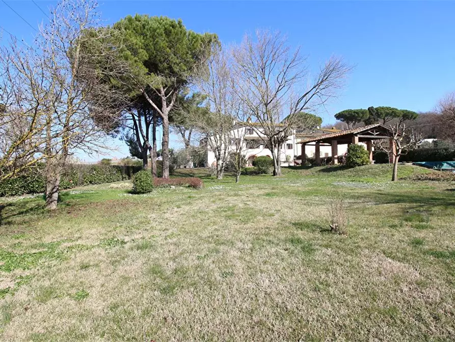 Immagine 4 di Casa bifamiliare in vendita  a Calcinaia